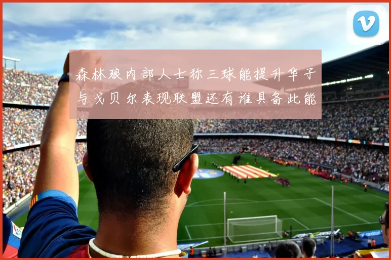 森林狼内部人士称三球能提升华子与戈贝尔表现联盟还有谁具备此能力